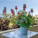 Marachique Duplex *